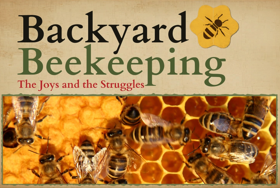 Backyard Beekeeping poster with bees on honeycomb. The text reads: 'Backyard Beekeeping: The Joys and the Struggles' with a bee icon.