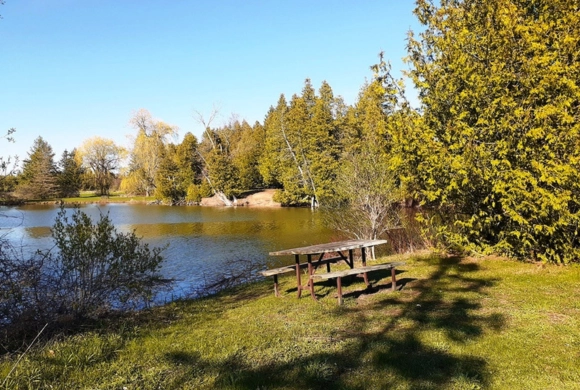 A photograph of Earl Rowe Provincial Park